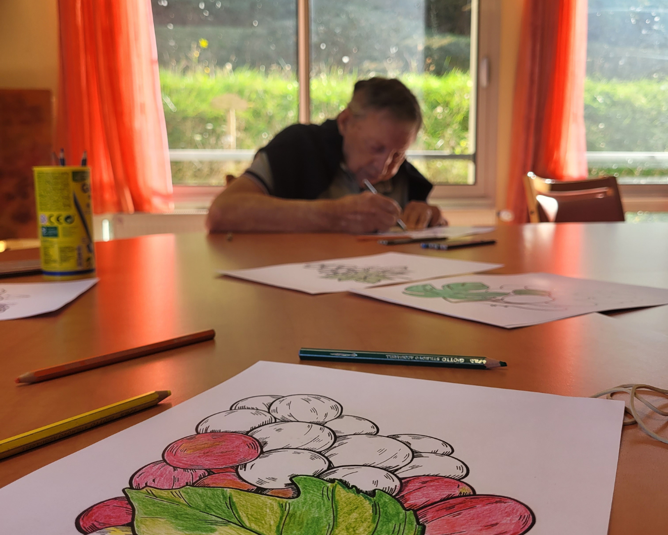 Utilisation du simulateur de conduite du Centre hospitalier de Bagnères-de-Bigorre